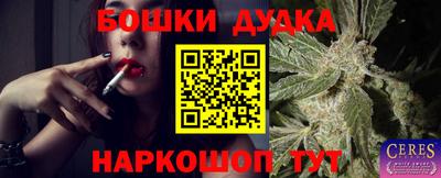 стаф Обь