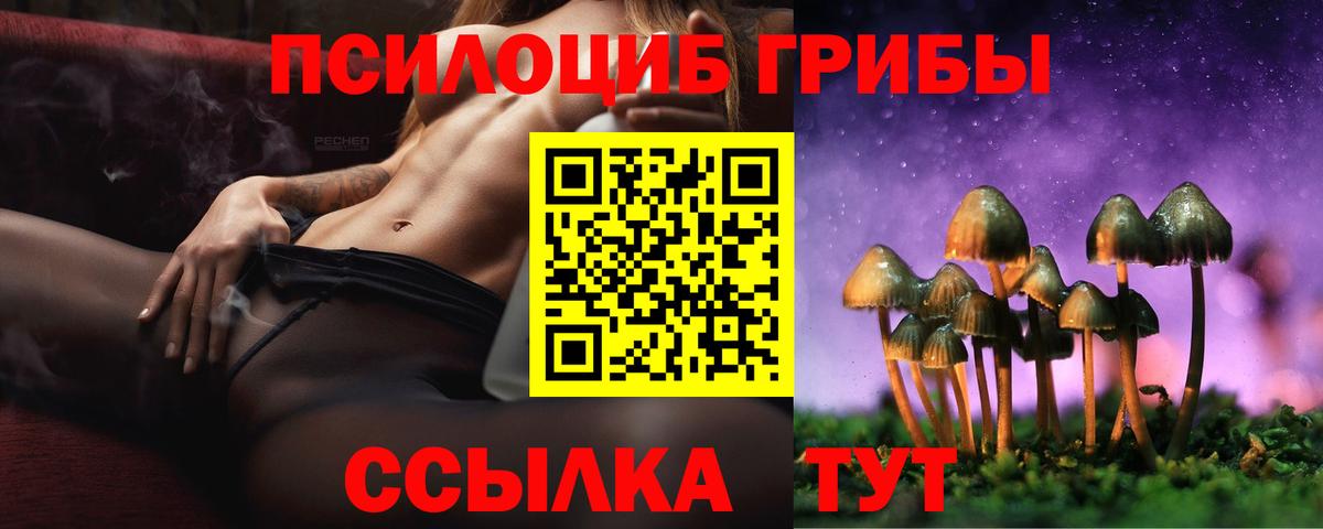 Тихвин  Галлюциногенные грибы прущие грибы  Вход с VPN 
